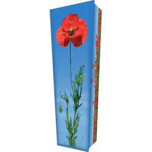 Poppy to Remember - Personalised Picture Coffin with Customised Design.
